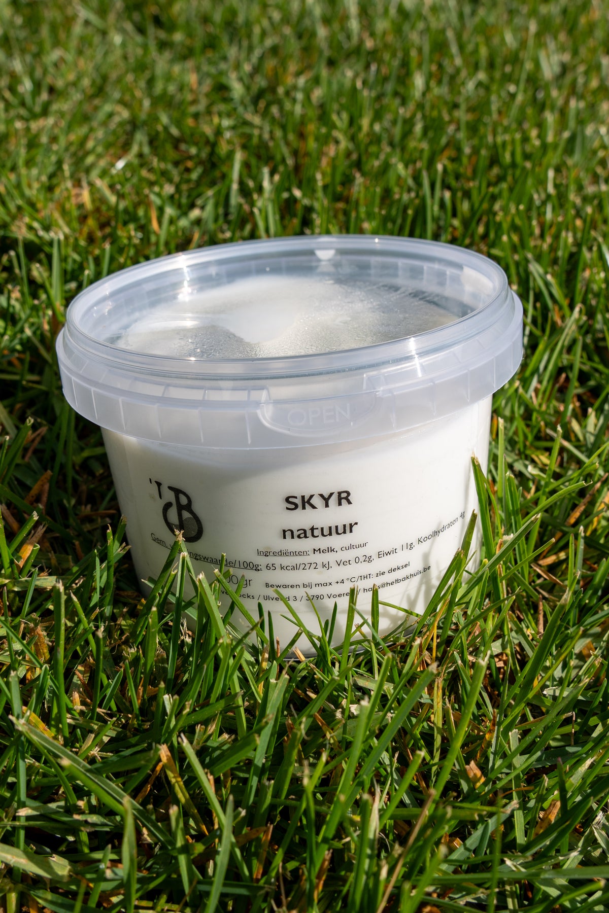 Skyr natuur