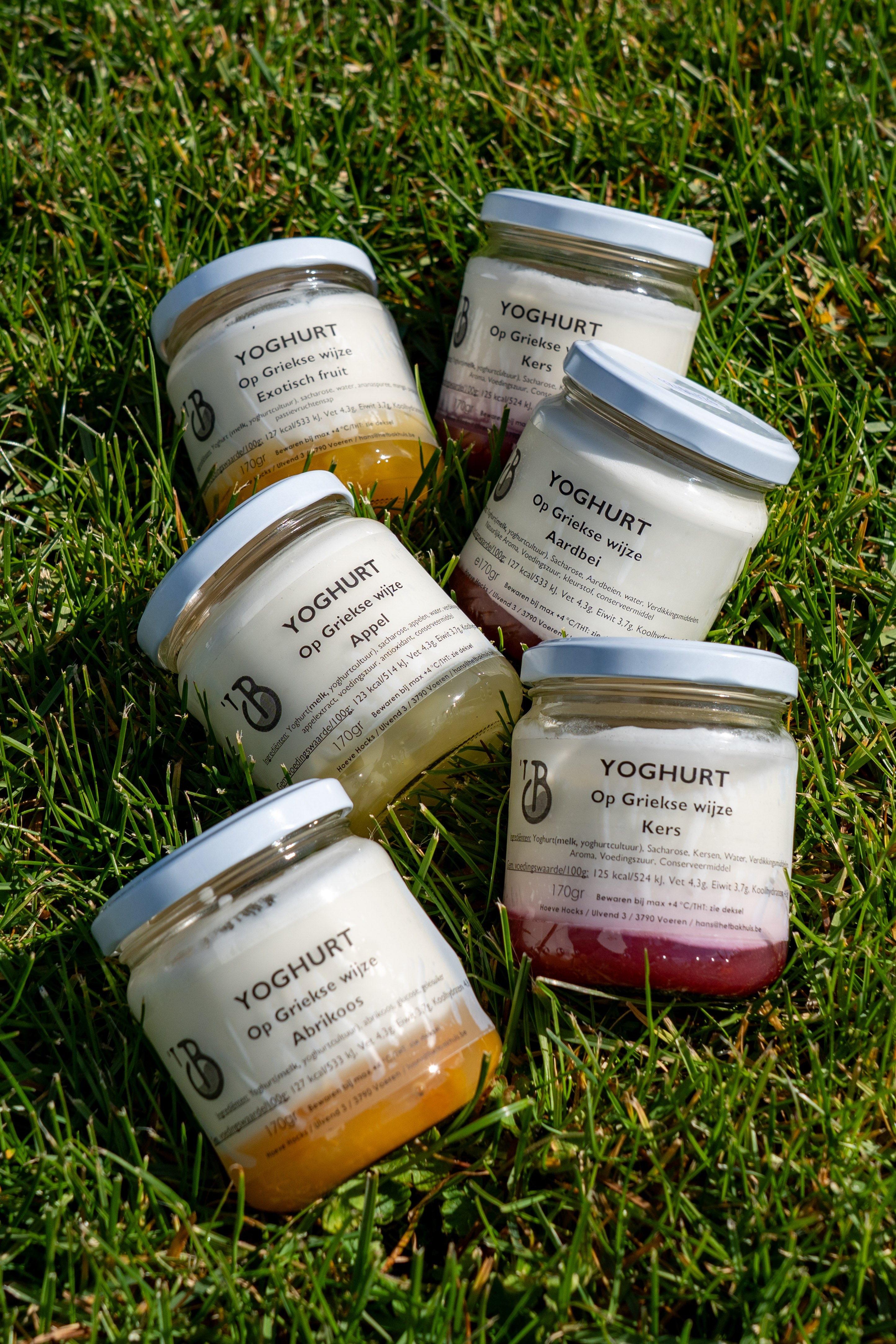 Yoghurt op Griekse wijze - met fruitsmaak