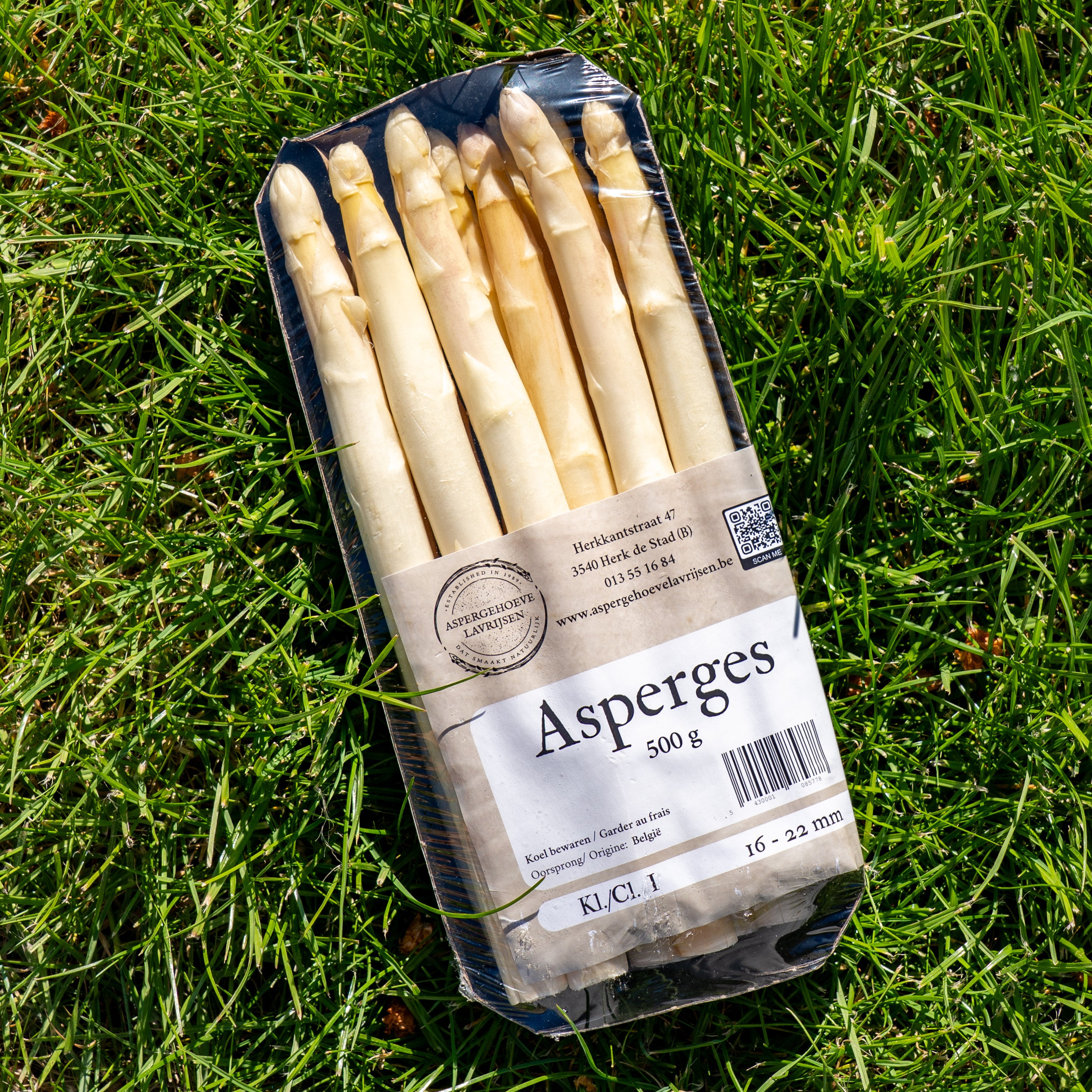 Asperges klasse A ongeschild