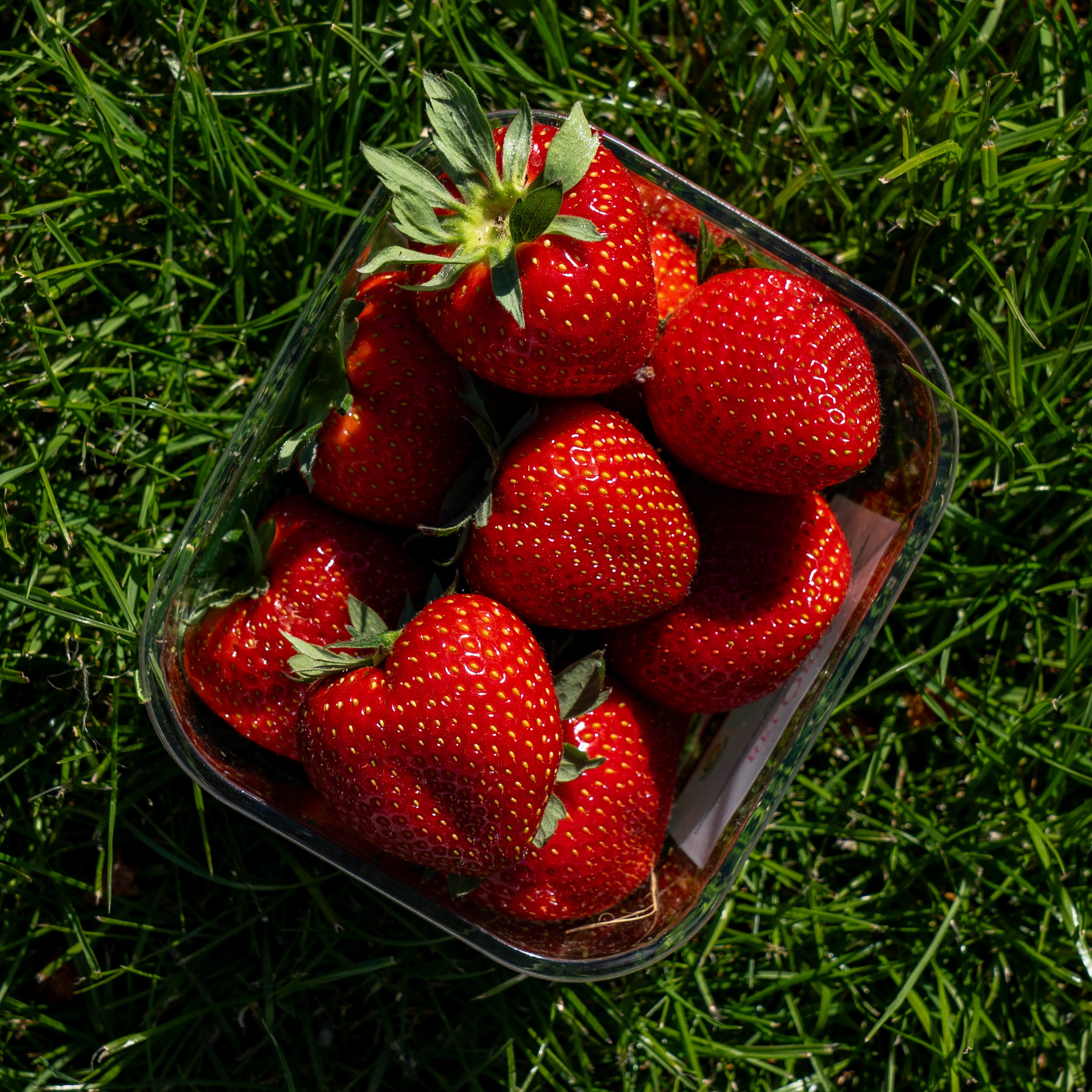 Aardbeien