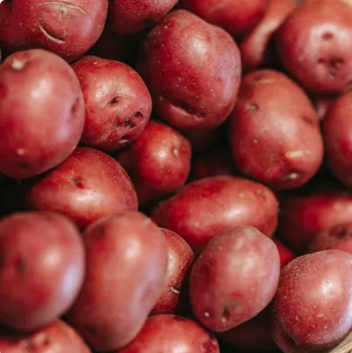Bio Aardappel Alouette