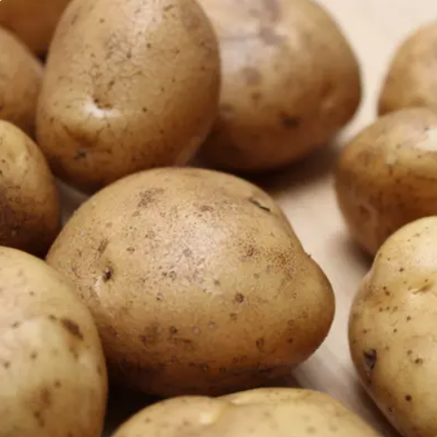 Bio aardappel Agria