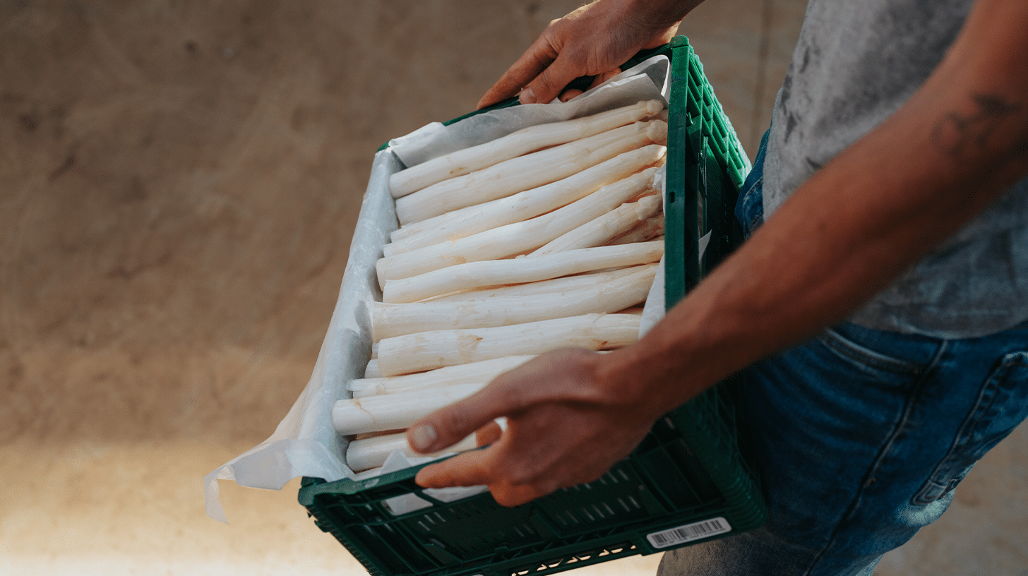 Asperges premium geschild